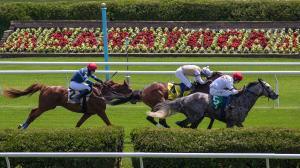Noel Michaels handicapping, Saratoga, America's Best Racing Sunday Selections